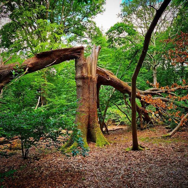 Oak Valley Lodges & Camping Pett Buitenkant foto